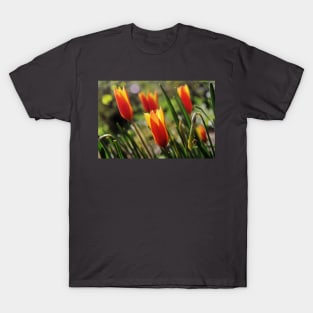 Windy Day Tulips T-Shirt